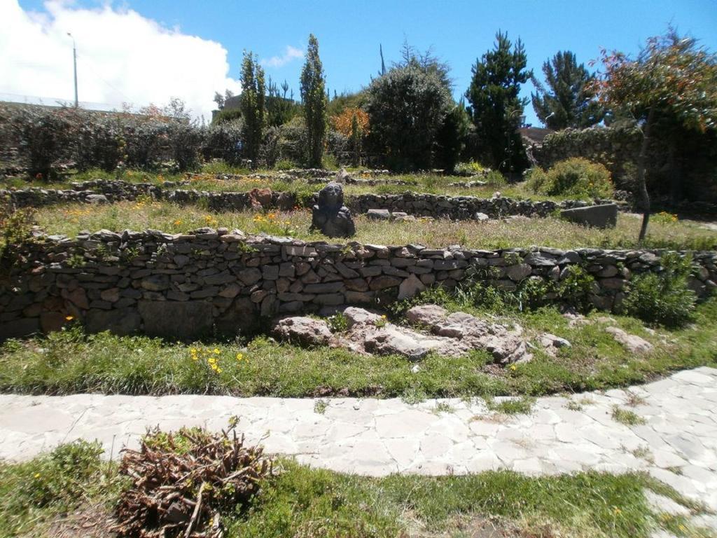 Posada Santa Barbara Chucuito Стая снимка
